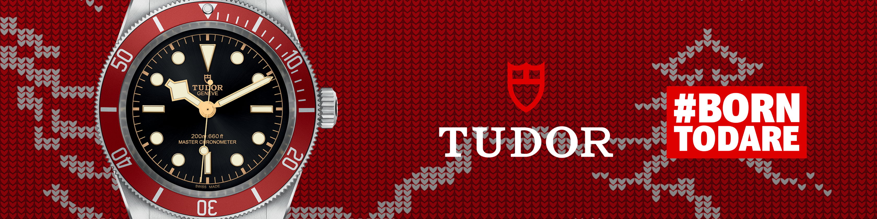 Tudor banner (1)