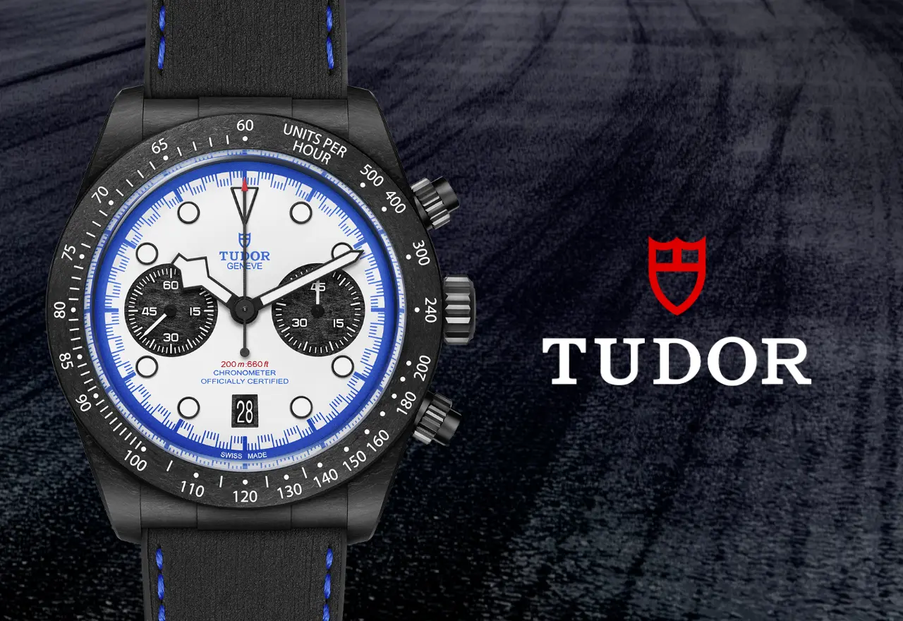 Tudor banner (8)