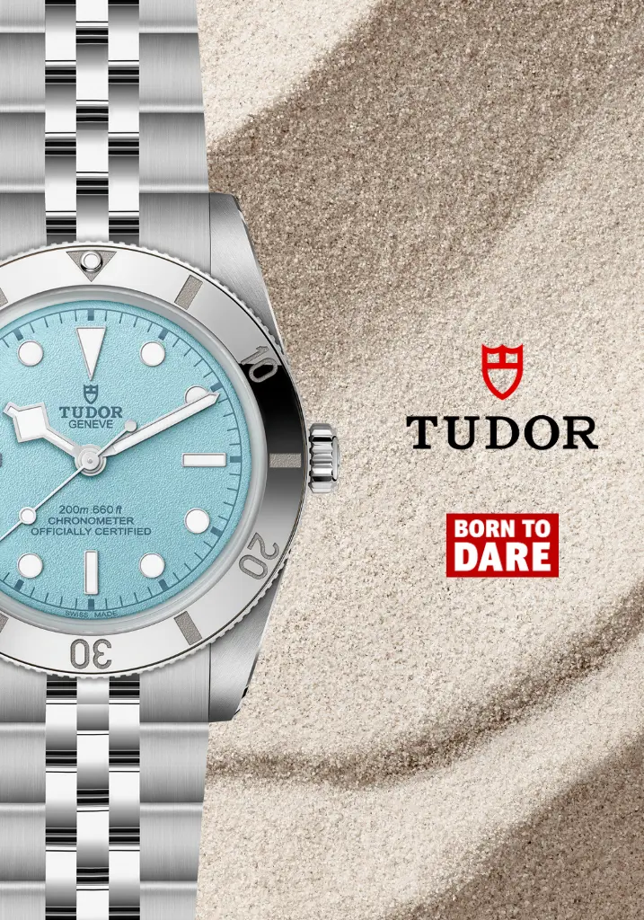 Tudor Banner Mobil Blaybay54 Bauer