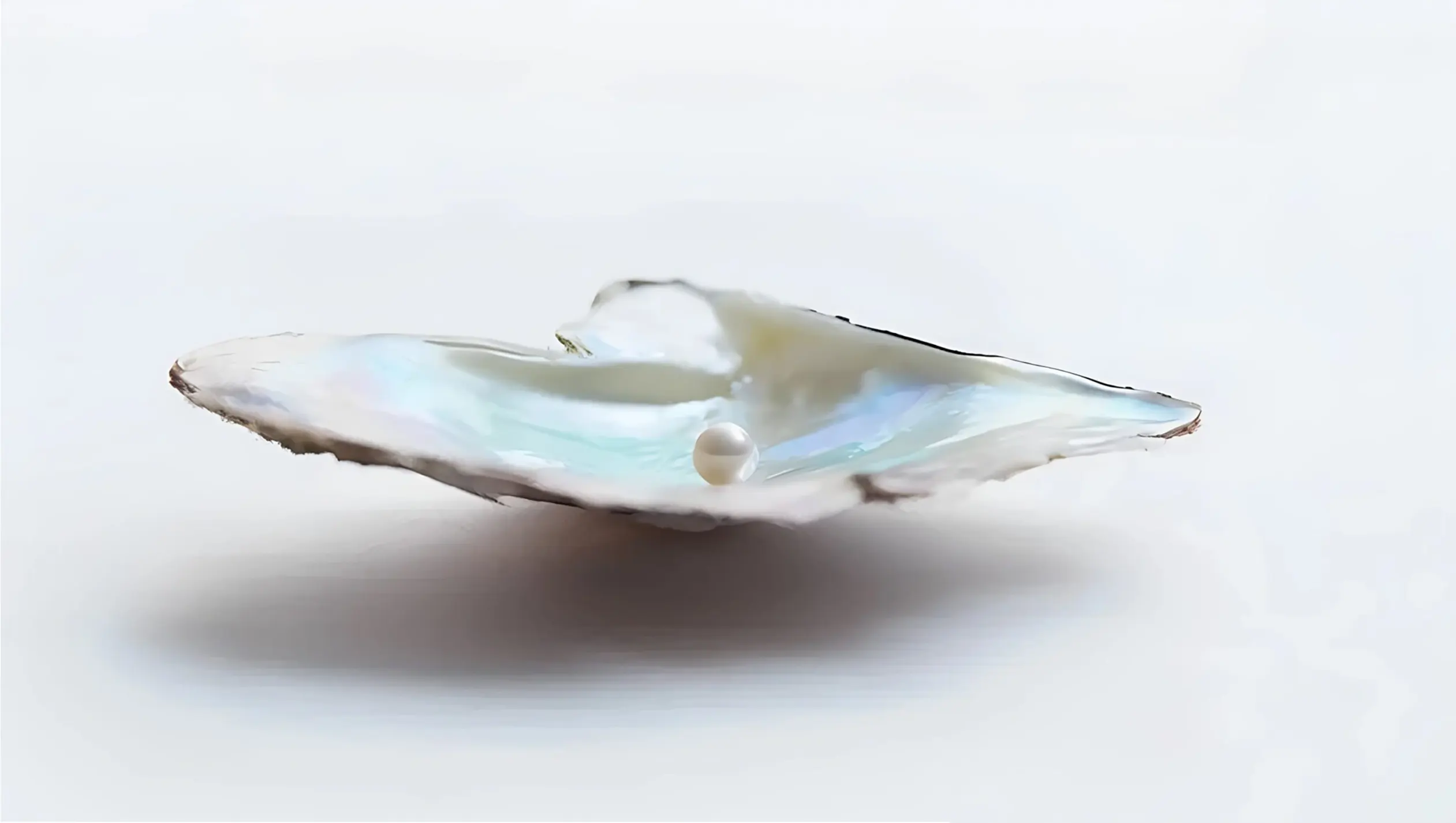 Mikimoto 1 mikimoto alta joyeria bauer