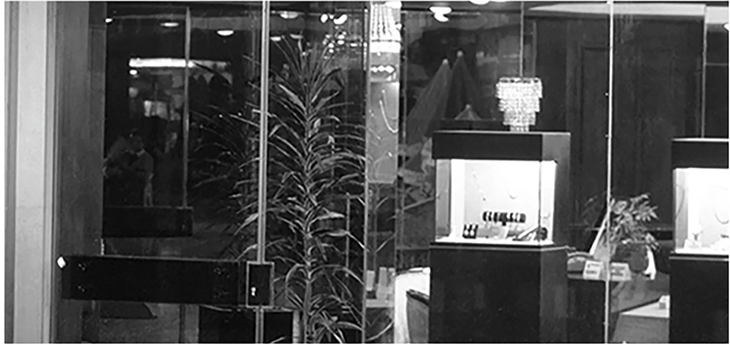 HISTORIA 29 1983 historia joyeria bauer