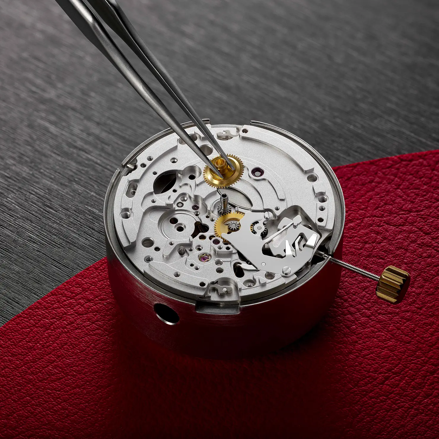 Tudor 18 About Tudor Movements