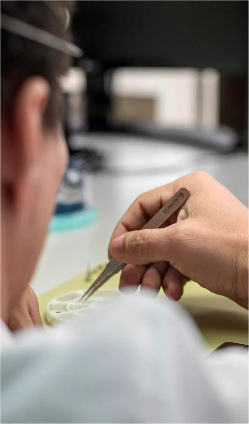 consejos reloj joyeria bauer cuidado
