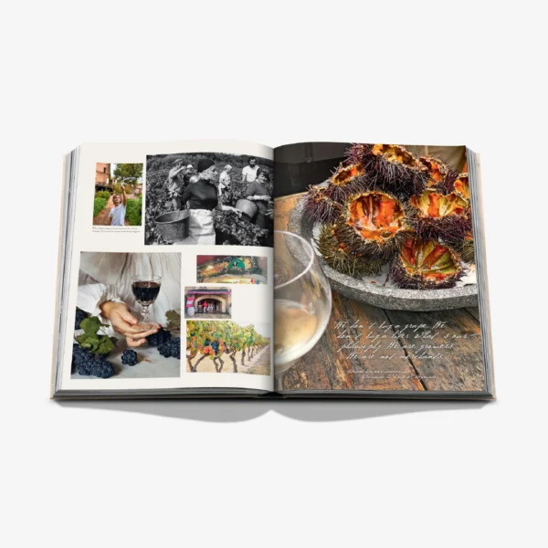 Wine & Travel France 3