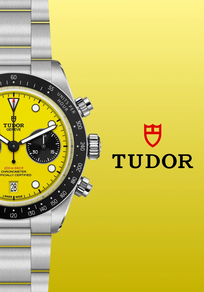 tocc configurator black bay chrono 39 5000x2500 (2)